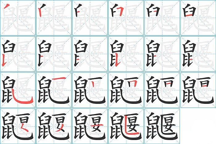 鼴的笔顺分步演示图