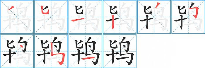 鸨的笔顺分步演示图