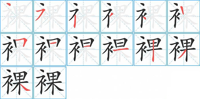 裸的笔顺分步演示图